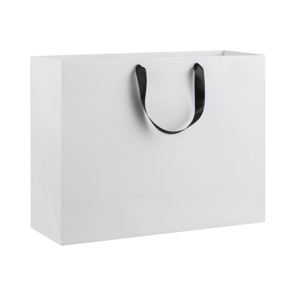 White Lux Paper Bags (Pack of 10)