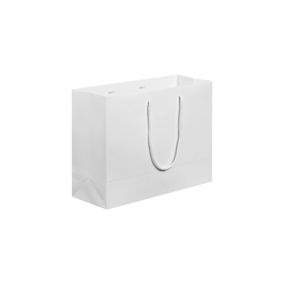 Glossy Custom Paper Large Bag – (Set of 10)
