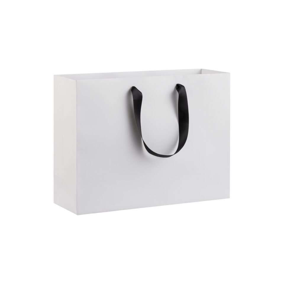 White Lux Paper Bags (Pack of 10)