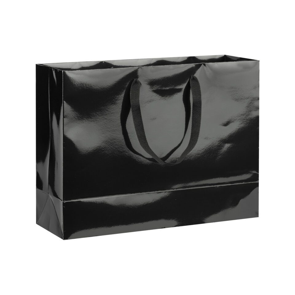 Glossy Custom Paper Large Bag – (Set of 10)